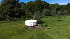 Starry Skies Yurt - Mira